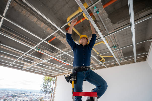Best Plumbing Inspection Services  in Earlham, IA
